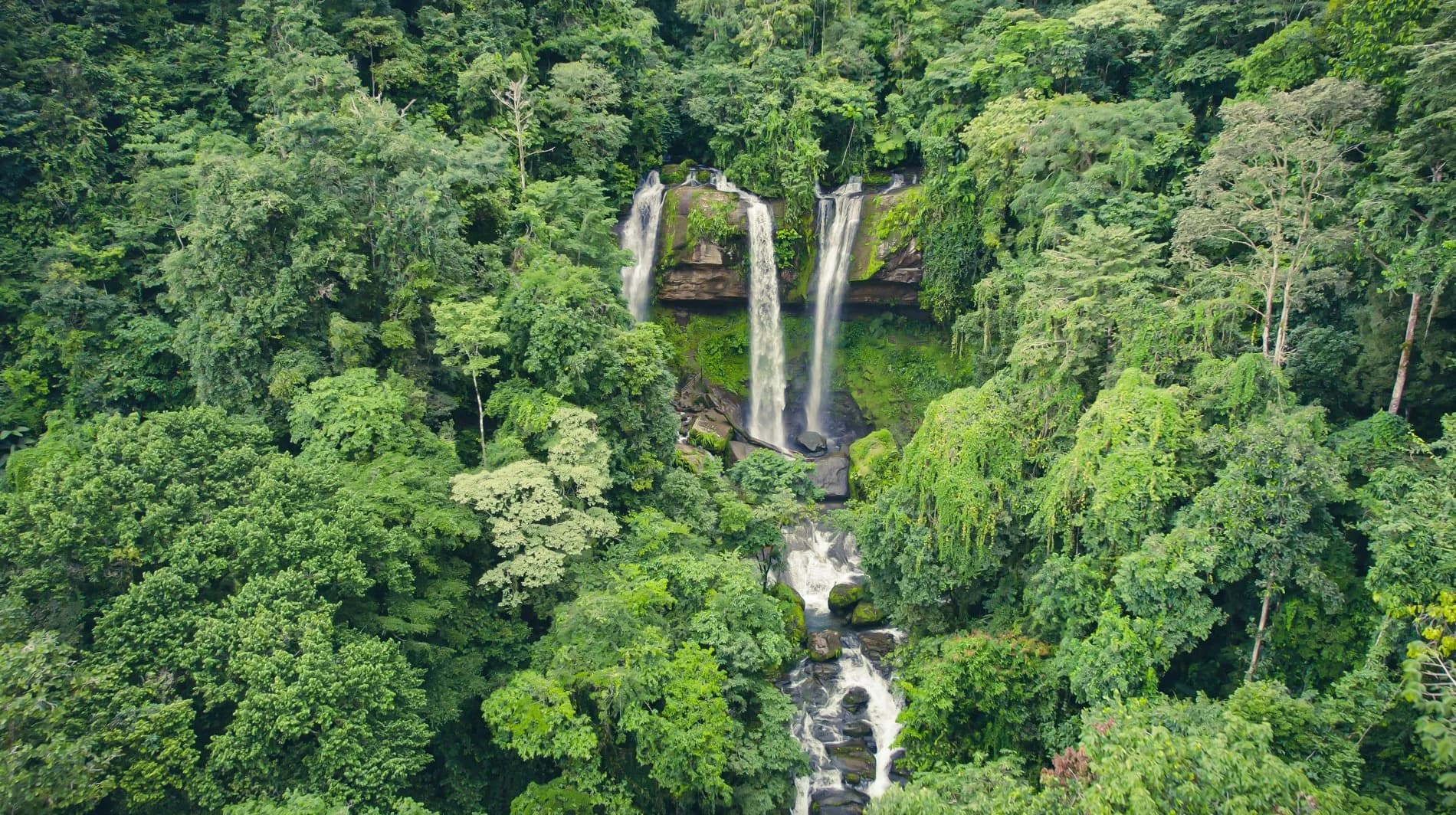 Diamante Falls - a tall jungle waterfall on the Holos land