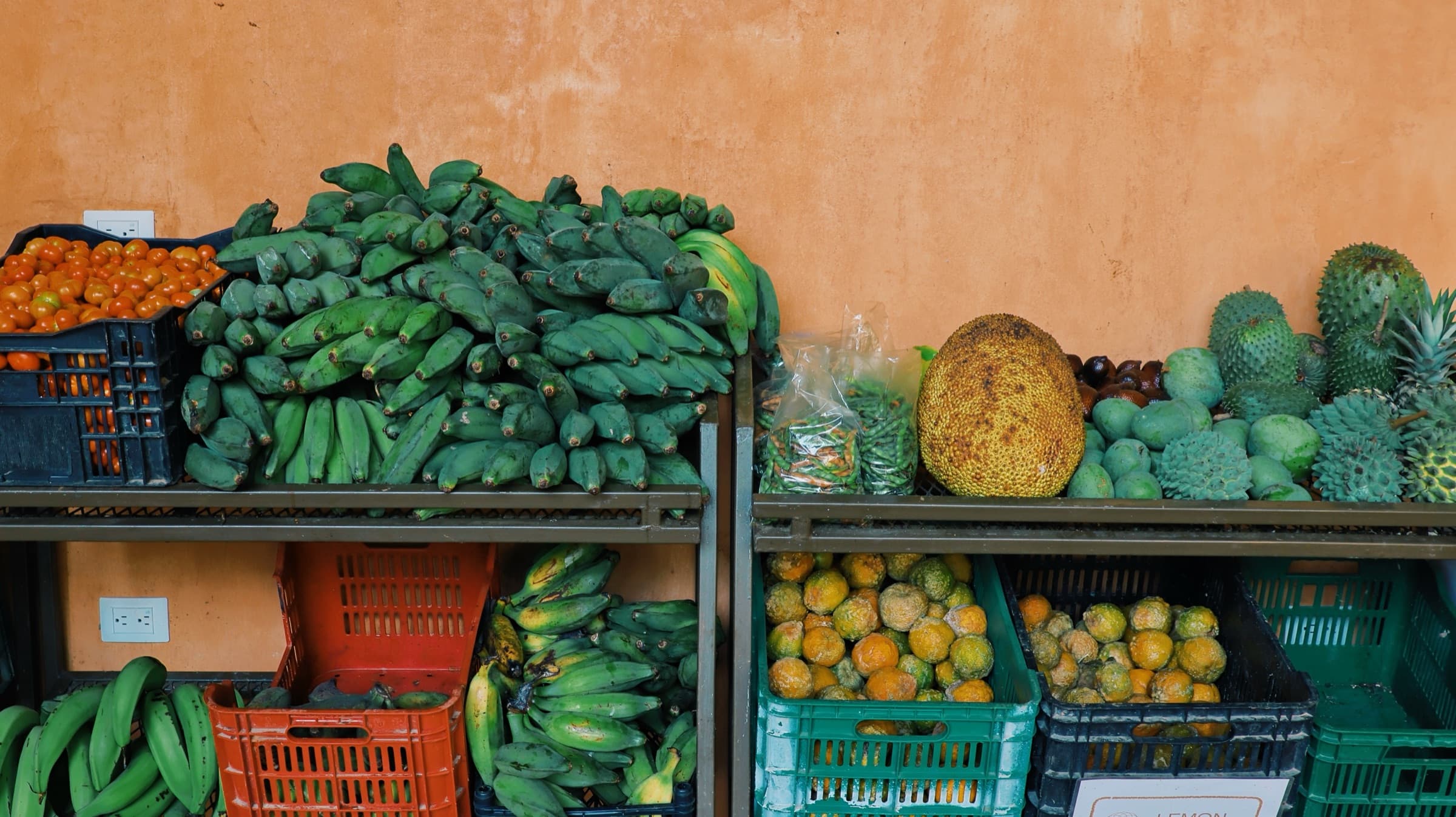Organic food share